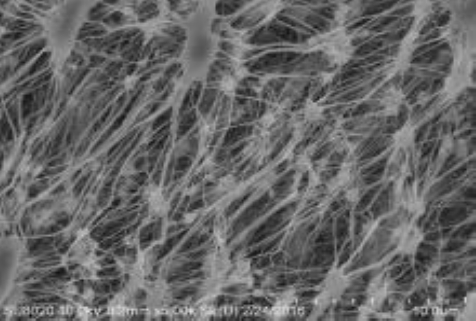The Progress of PTFE Garment Film Processing Technology