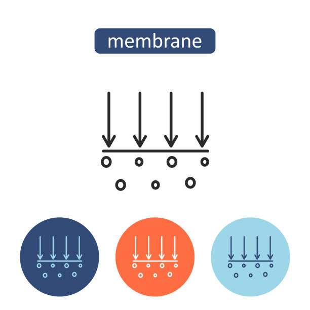 Applications of Micro Porous Membranes in Water Filtration