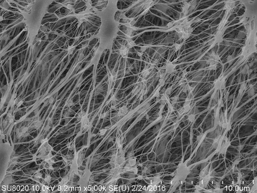 Properties and Characteristics of Polytetrafluoroethylene Membrane