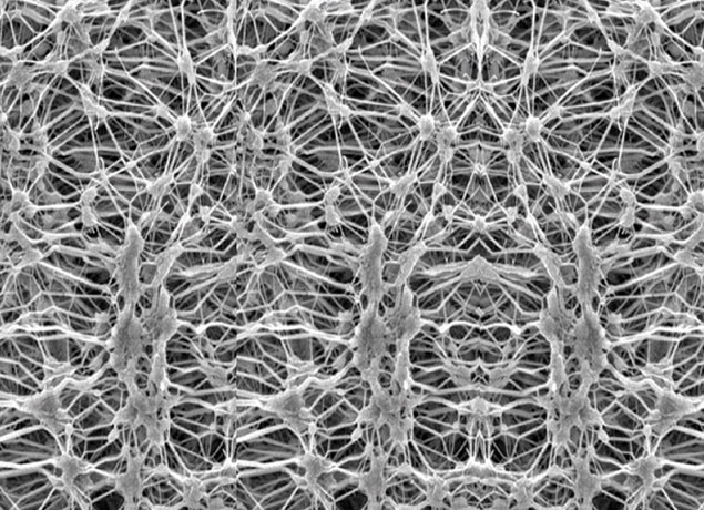 PTFE Membrane